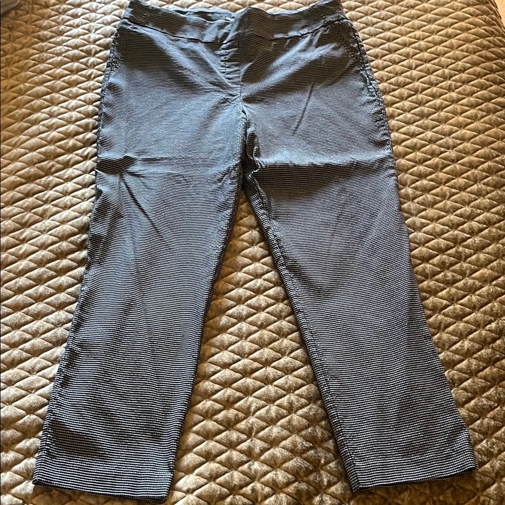Hilary Radley Black and White Striped Pants